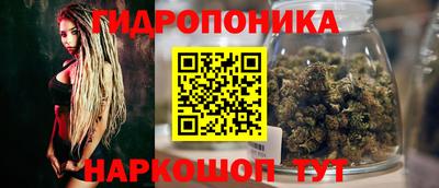 трава Краснодар