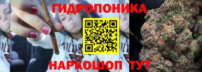 гашик Краснокаменск