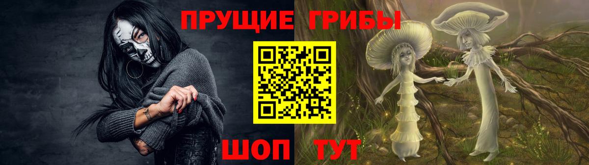 Псилоцибиновые грибы GOLDEN TEACHER Когалым